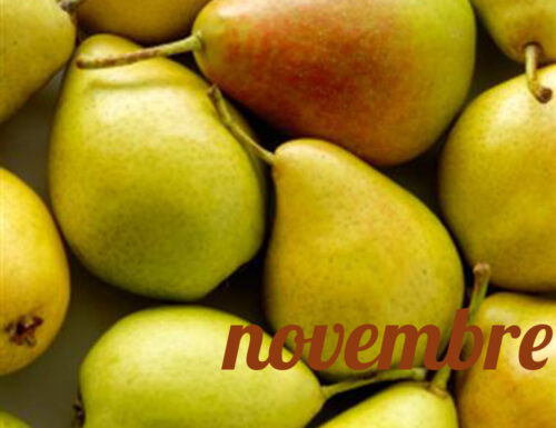 Diario della dieta mese 16, novembre 2013