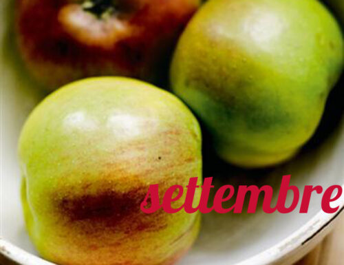 Diario della dieta mese 14, settembre 2013