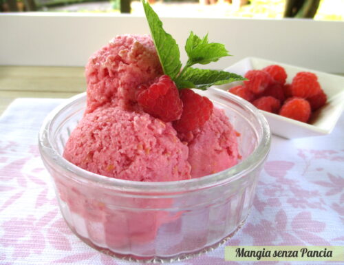 Sorbetto ai lamponi con yogurt: sherbet