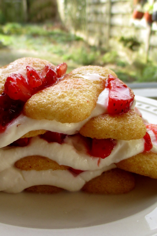 Tiramisù pavesini e fragole light, Mangia senza Pancia