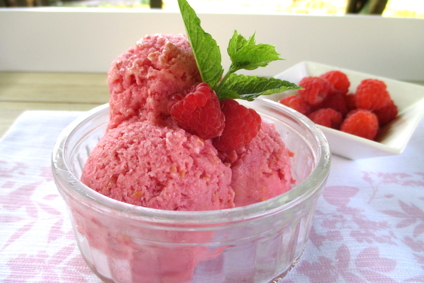 Sorbetto ai lamponi con yogurt, Mangia senza Pancia