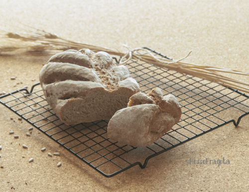 Pane di segale fatto in casa – ricetta facile