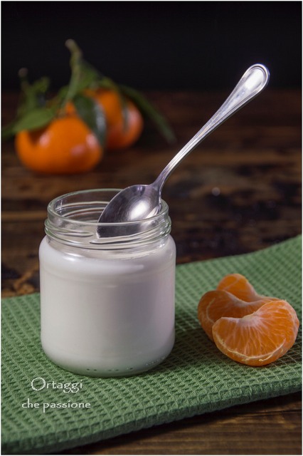 Yogurt fatto in casa - DENSO e non acido