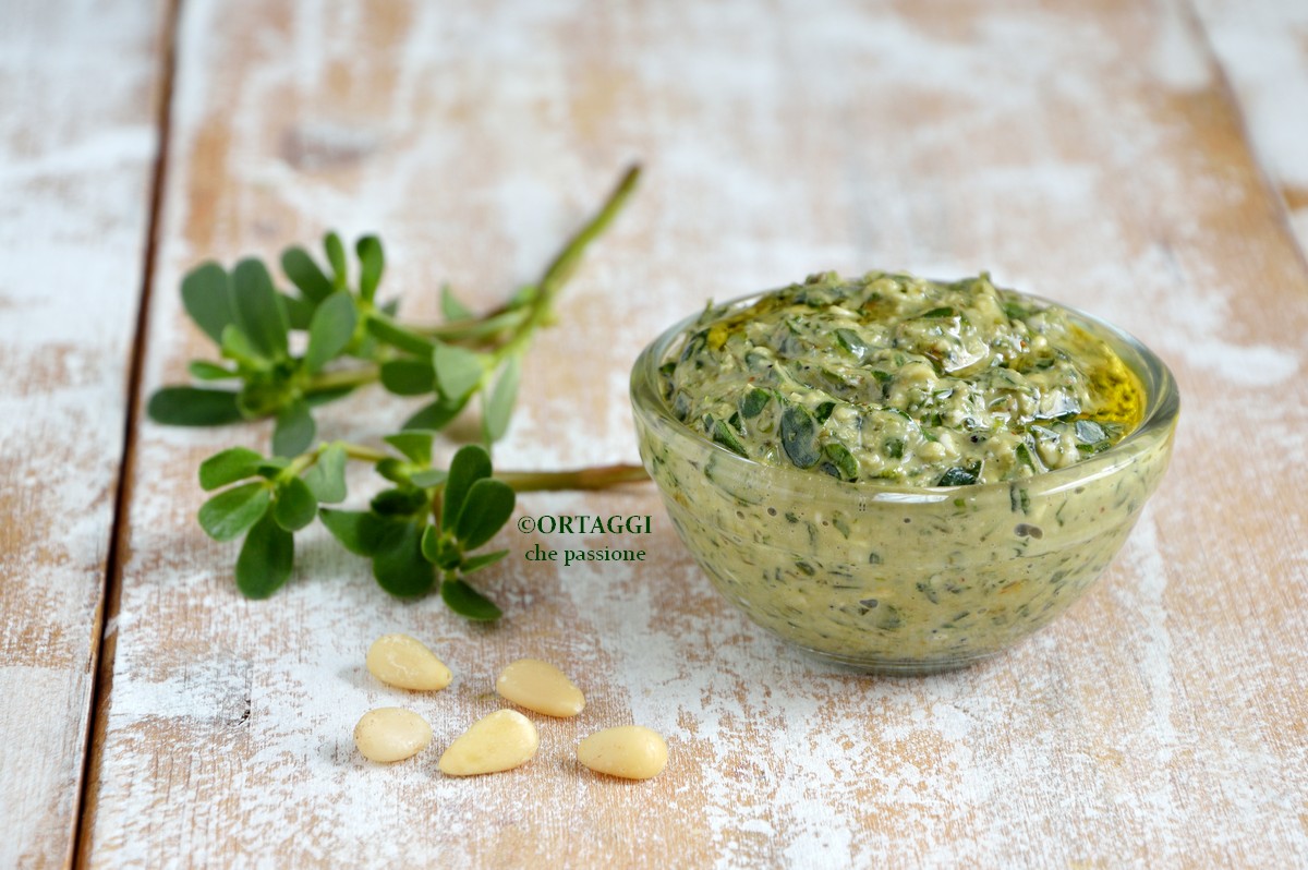 ricetta pesto di Portulaca