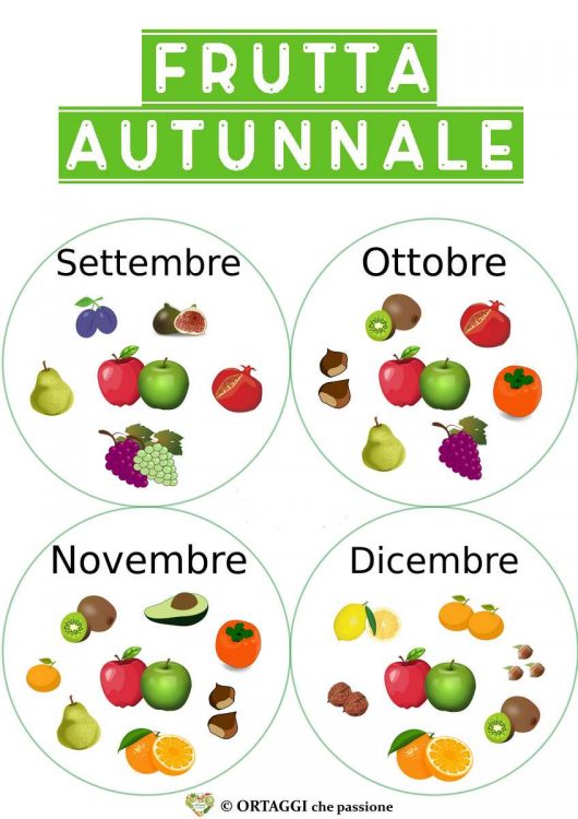 immagine di tutta la frutta di stagione in autunno nei mesi di settembre ottobre novembre e dicembre