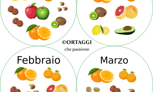 Frutta invernale  – agrumi e frutta a guscio