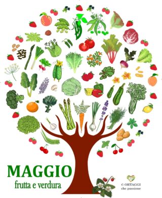 MAGGIO frutta e verdura di stagione - ORTAGGI che passione