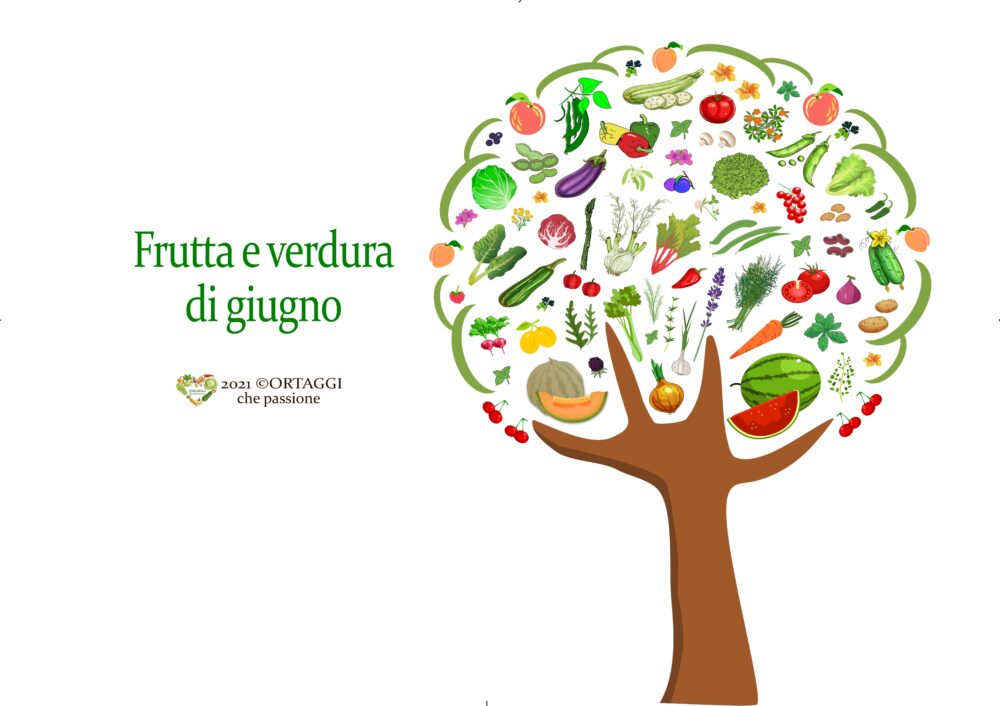 O 6 GIUGNO frutta e verdura di stagione