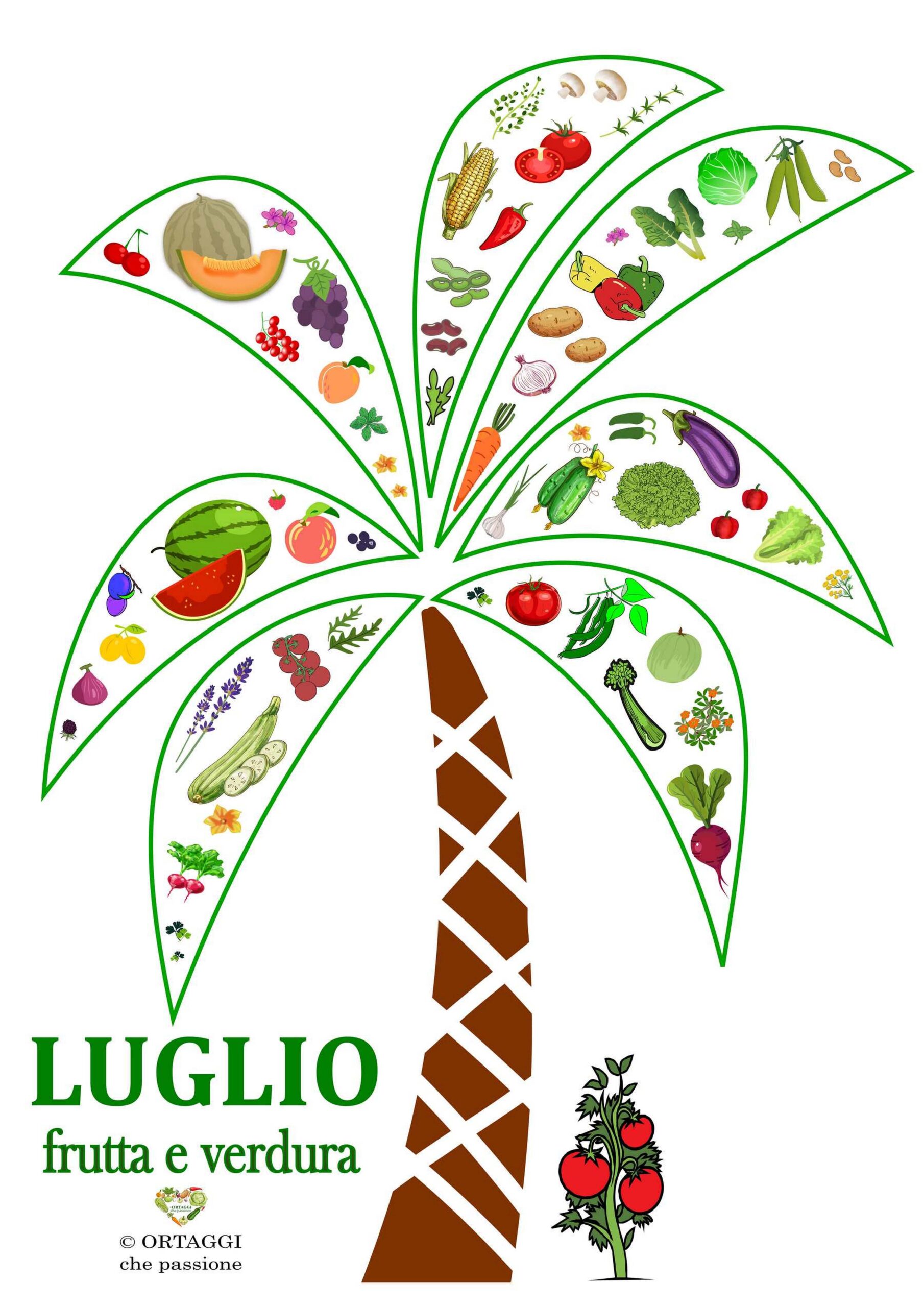 Verticale 7 LUGLIO frutta e verdura di stagione ORTAGGI CHE PASSIONE by Sara Grissino