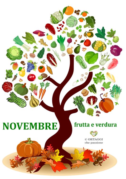 V 11 NOVEMBRE frutta e verdura di stagione ORTAGGI che passione