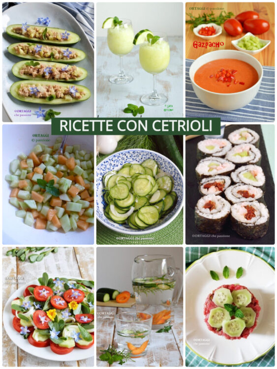ricette gourmet con cetrioli - facili e veloci