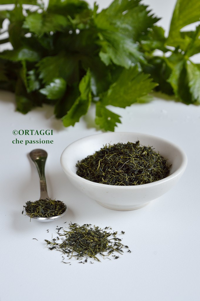 Sale di sedano con foglie o coste ORTAGGI che passione