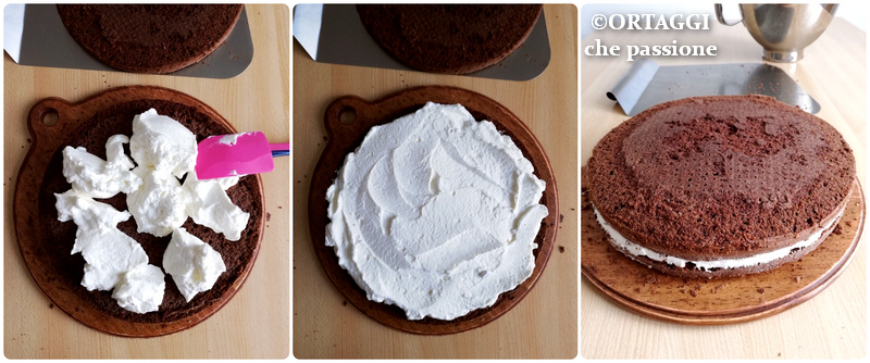 005 farcire pan di spagna - ORTAGGI che passione