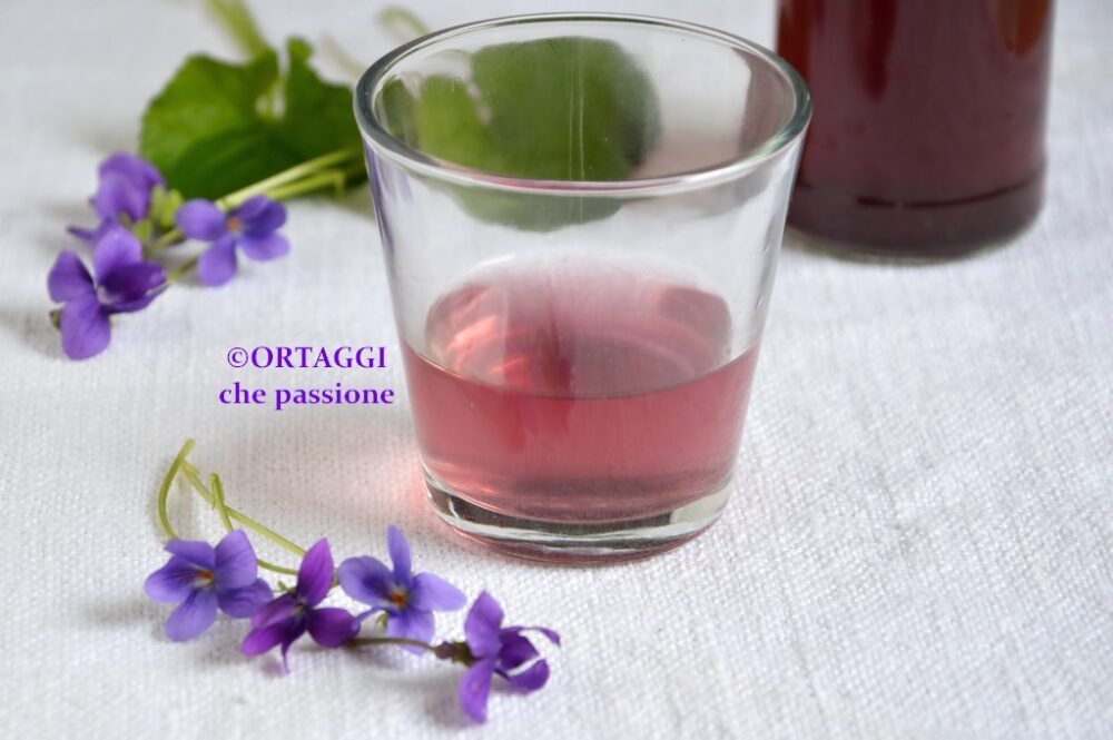sciroppo di violette per cocktail