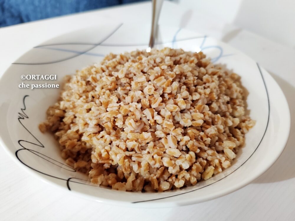 come cucinare il farro - facile e veloce in 10 minuti