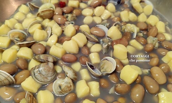 Gnocchi con vongole e fagioli