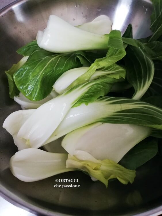versare pak choi in padella