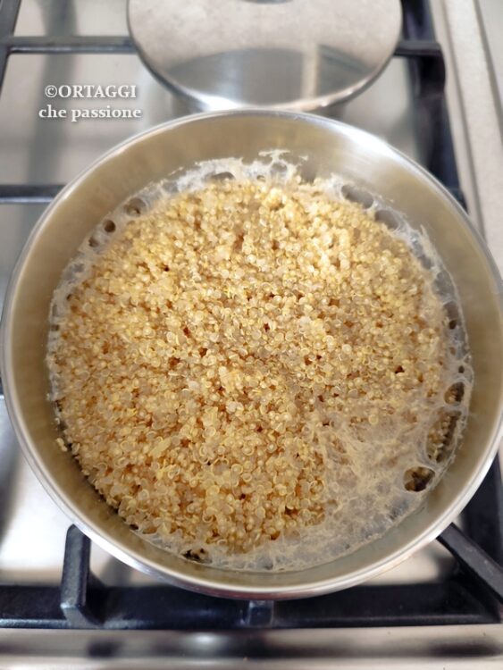 quinoa cottura in acqua calda o fredda