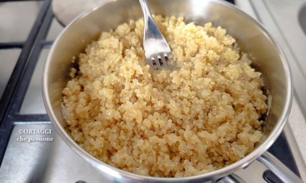 QUINOA – cottura e dosi