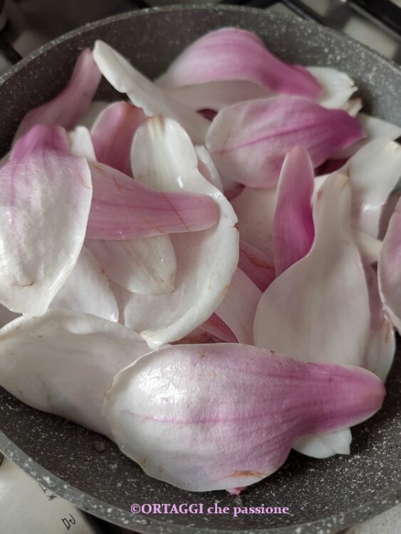 petali di magnolia in padella