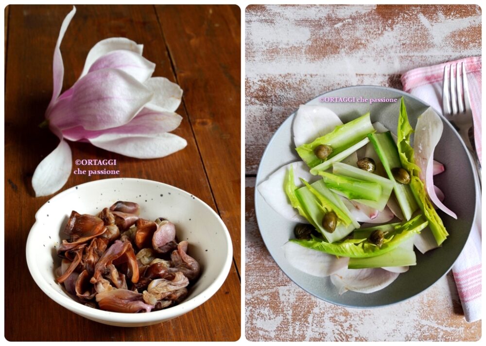 ricette con fiori di magnolia crudi o cotti