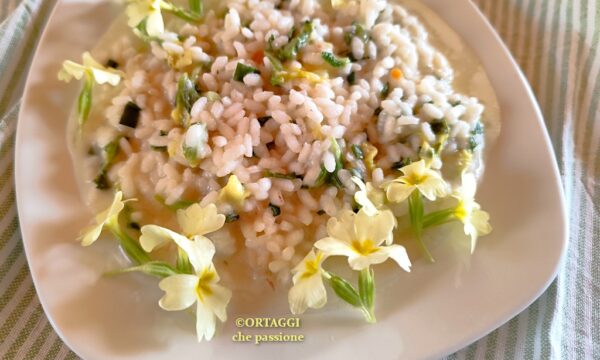 Risotto alle primule, primavera gourmet