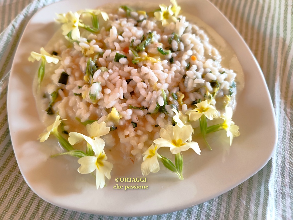 risotto alle primule gourmet - facile e veloce