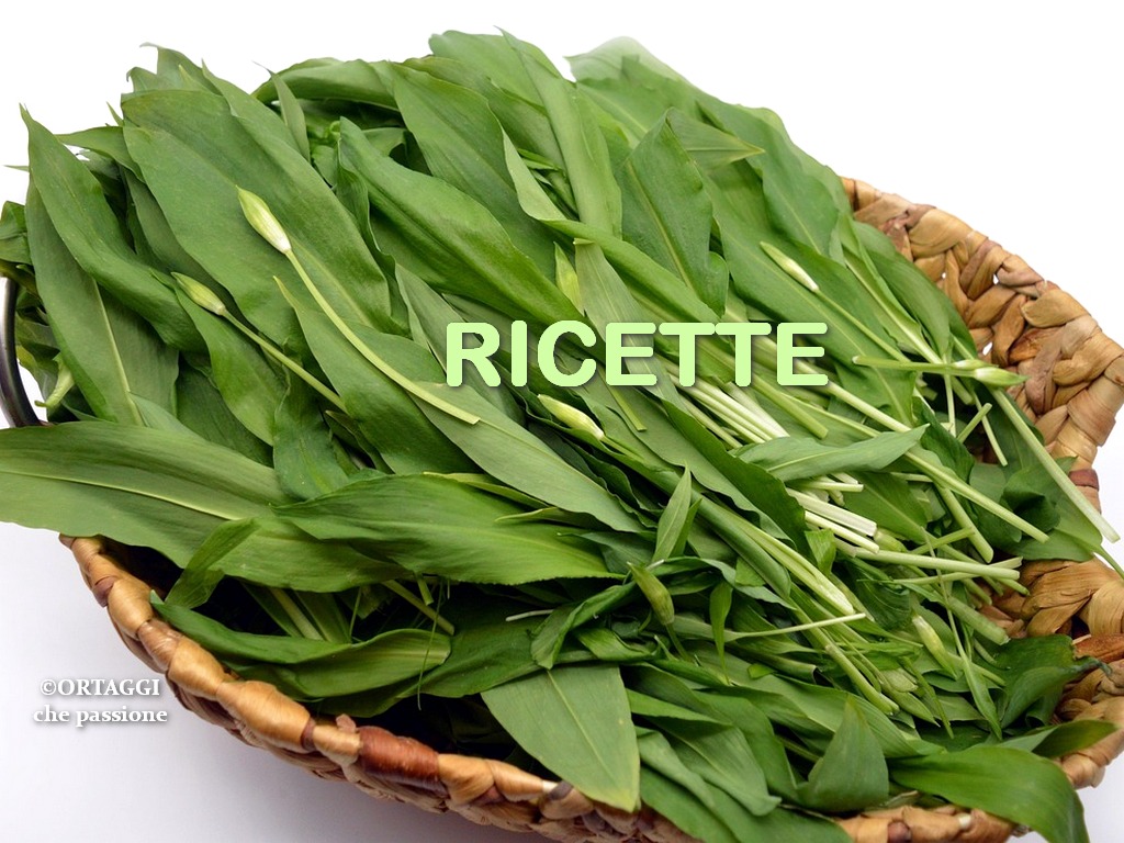 RICETTE aglio orsino ORTAGGI che passione