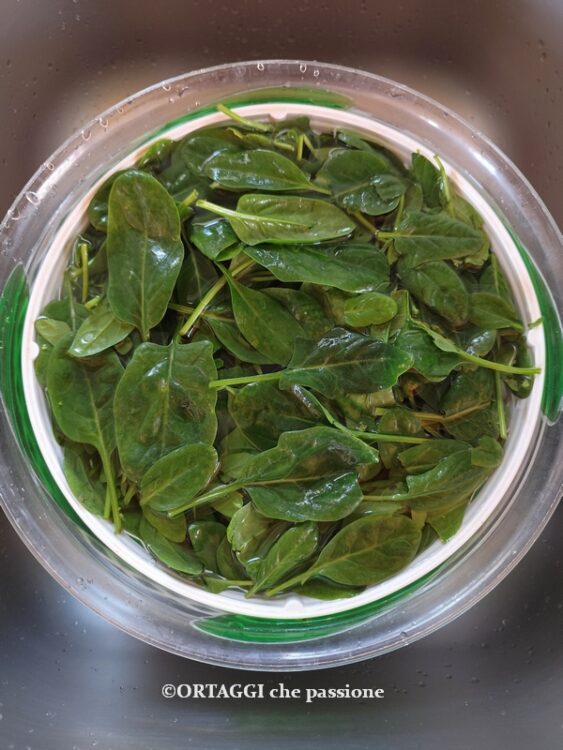 lavare gli spinaci