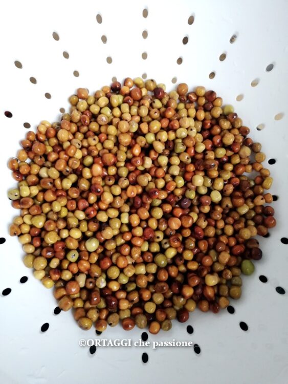 roveja scolata dopo ammollo
