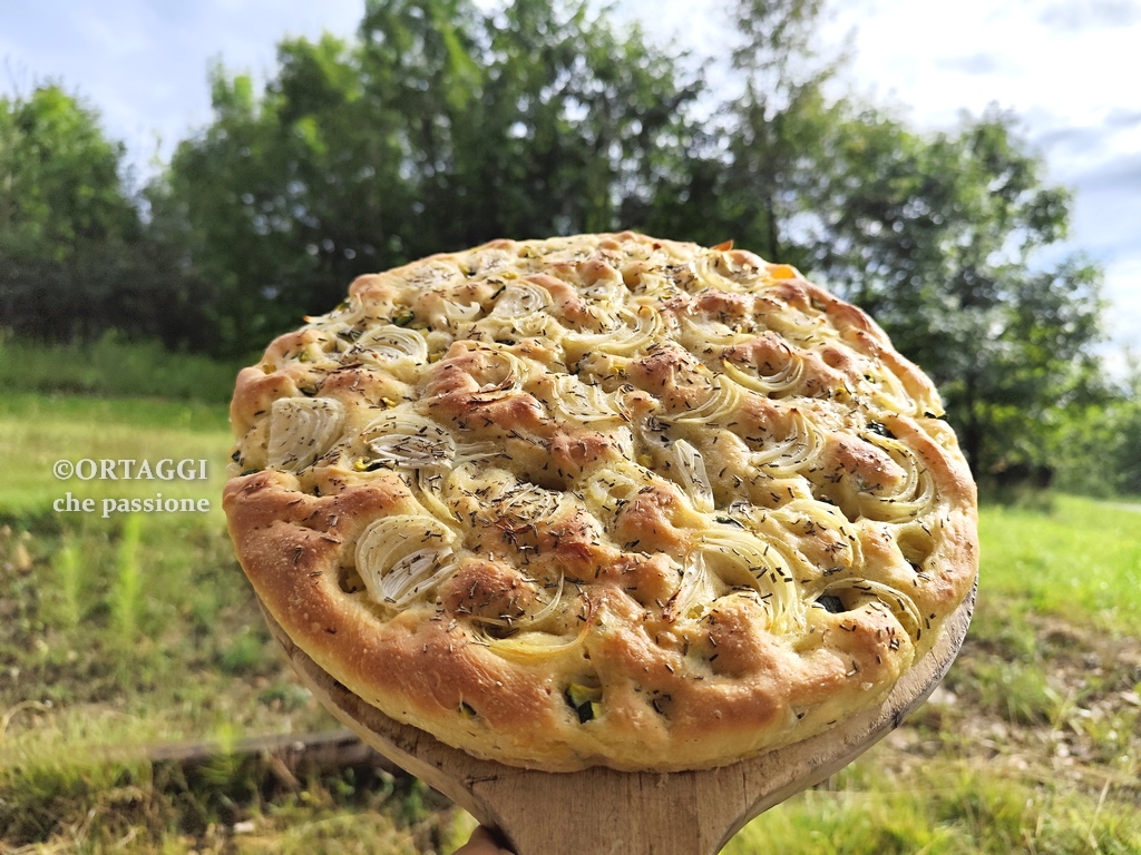 focaccia cipolle e zucchine croccante