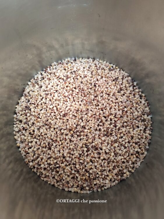 cottura sorgo decorticato