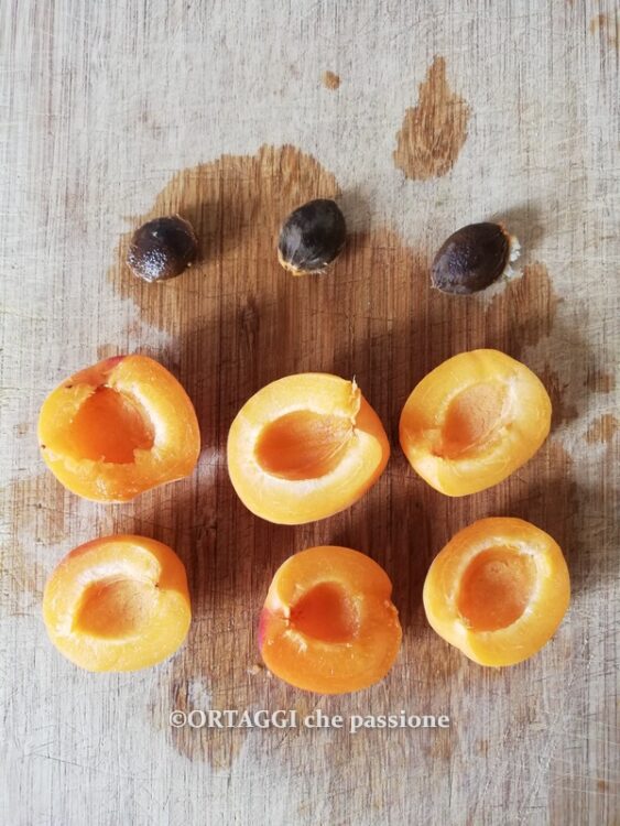 albicocche a meta senza nocciolo x bowl