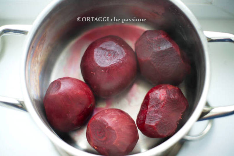 barbietola rossa lessata in acqua