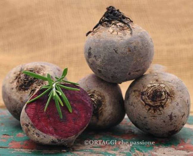 erbette rosse raccolte 