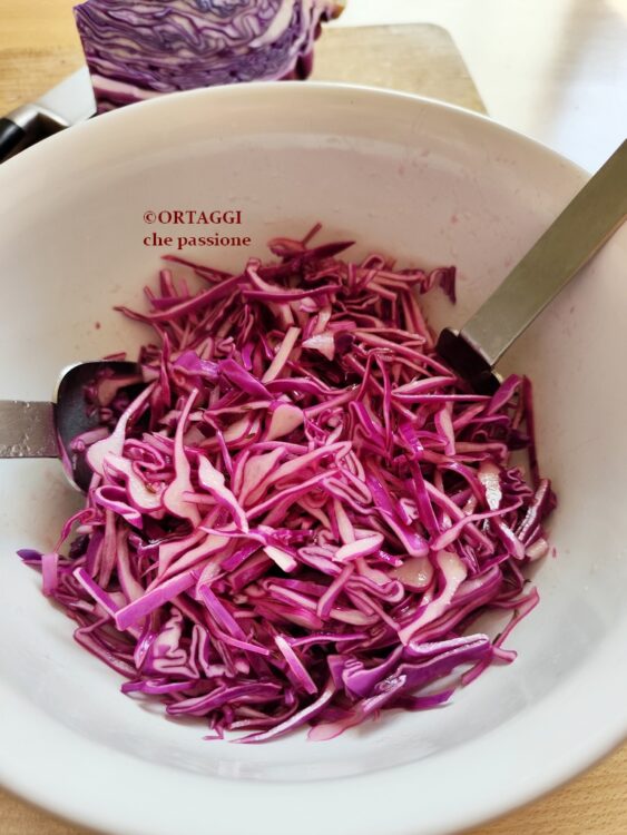 insalata di cavolo rosso sfiziosa
