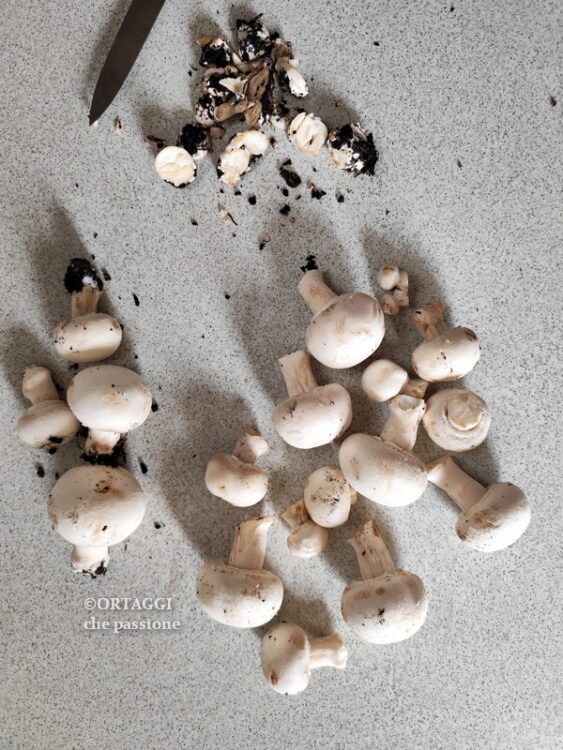 pulire poco i funghi champignons