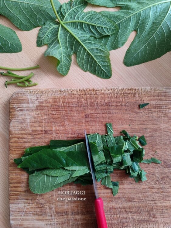 tagliare a pezzi le foglie di fico