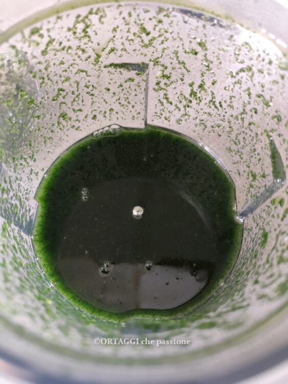 liquido foglie di fico tritate