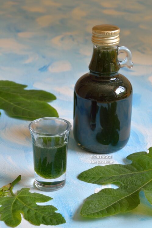 Sciroppo foglie di fico sorprendente