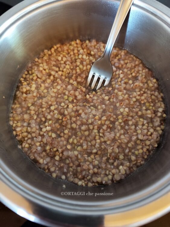 grano saraceno tempo di cottura per assorbimento e quantita acqua