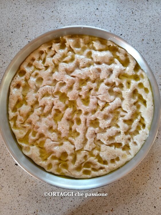 bucherellare tutta la superfice focaccia