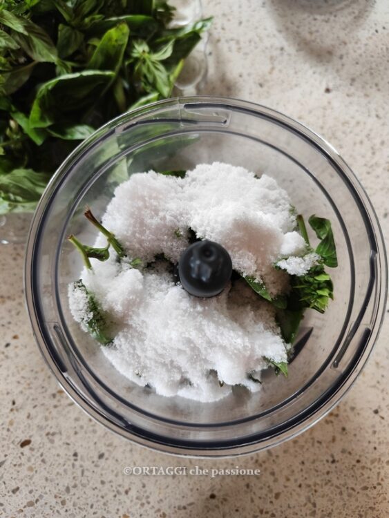 frullare basilico con sale fino