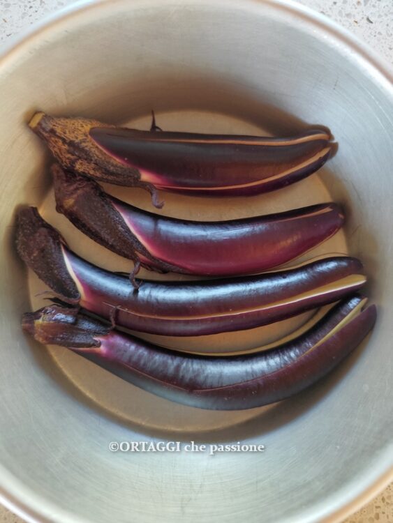 melanzane perlina al forno in teglia