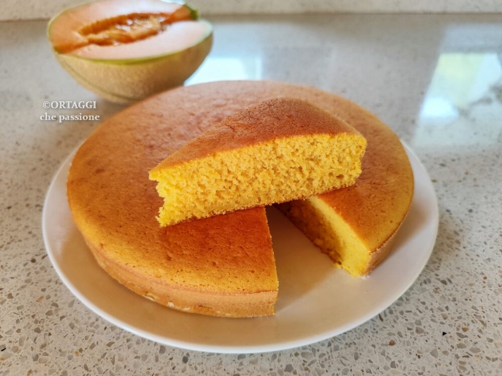 torta al melone frullata e umida