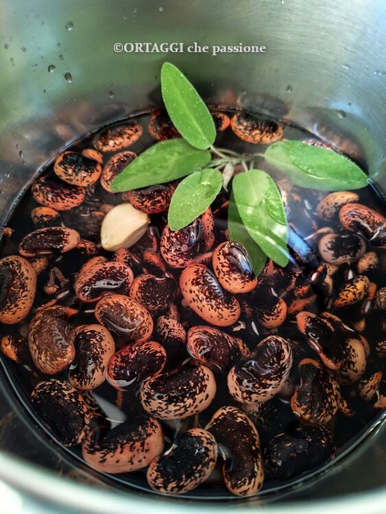 fagioli del diavolo in acqua per cottura