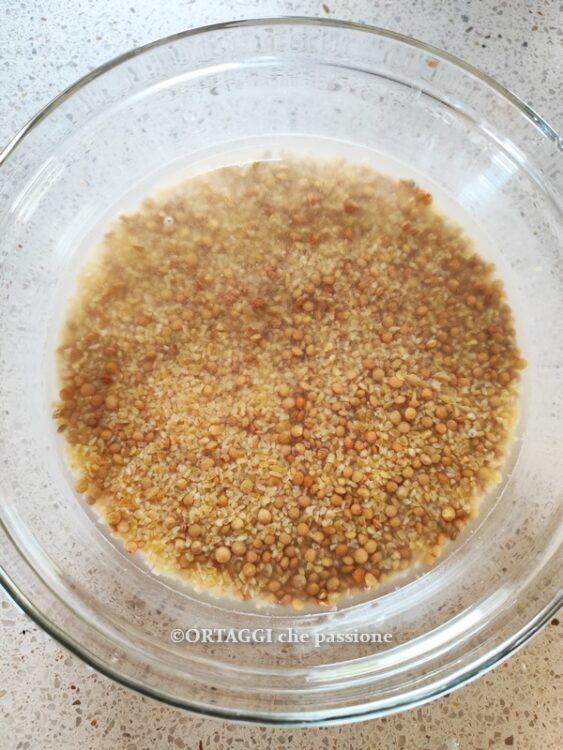 lenticchie e bulgur in ammollo