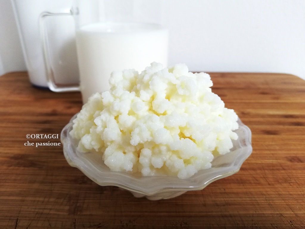 come si fa il kefir di latte come fare in casa