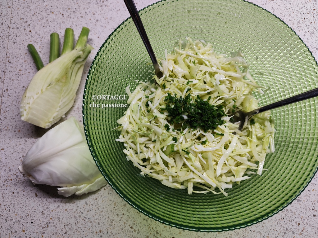 insalata di cavolo cappuccio e finocchi croccante