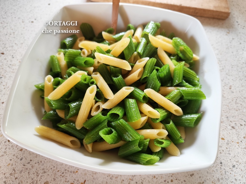 pasta di gambi di zucchine ricette